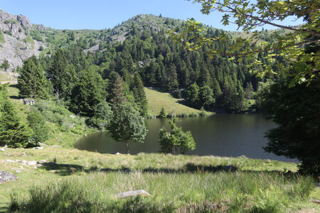 20220614 La Schlucht - Tanet - Lac Forlet - Lac Vert, IMG_3520_Le lac Forlet
