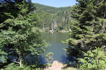 20220614 La Schlucht - Tanet - Lac Forlet - Lac Vert, IMG_3521_Le lac Vert