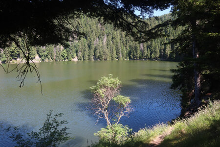 20220614 La Schlucht - Tanet - Lac Forlet - Lac Vert, IMG_3522_Le lac Vert
