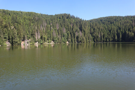 20220614 La Schlucht - Tanet - Lac Forlet - Lac Vert, IMG_3523_Le lac Vert