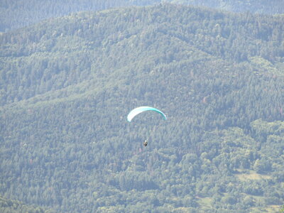 Breitenbach 18 juin 2022, IMG_3600