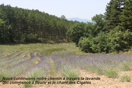 Rando épicurienne à Upaix, Rando épicurienne à Upaix 039