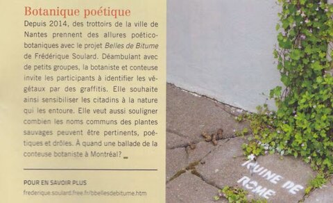 Cartographie, 4temps_quebec_article
