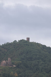 20220622 Ballade en Alsace, IMG_3530_Ribeauvillé, Château du Haut-Ribeaupierre et château du Girsberg