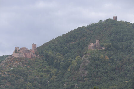 20220622 Ballade en Alsace, IMG_3531_Ribeauvillé, Les 3 châteaux