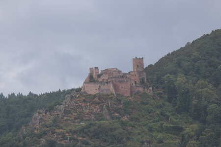 20220622 Ballade en Alsace, IMG_3532_Ribeauvillé, Château de Saint-Ulrich