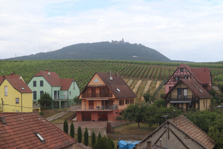 20220622 Ballade en Alsace, IMG_3538_Le château du Haut-Koenigsberg vu depuis Rorschwihr