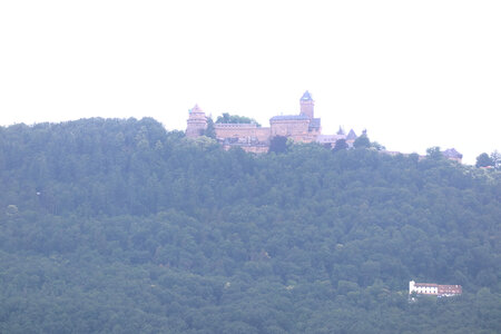 20220622 Ballade en Alsace, IMG_3540_Le château du Haut-Koenigsberg vu depuis Rorschwihr