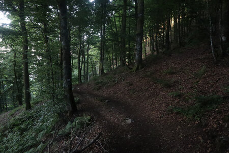 20220623a Le Sentier des Roches, IMG_3541_Départ du Sentier des Roches