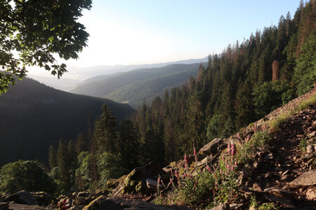 20220623a Le Sentier des Roches, IMG_3546_Le Sentier des Roches