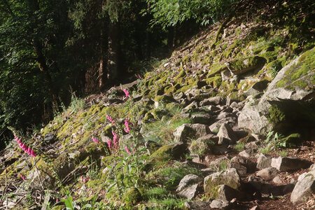 20220623a Le Sentier des Roches, IMG_3550_Le Sentier des Roches