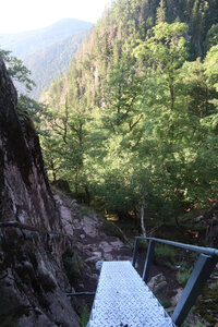 20220623a Le Sentier des Roches, IMG_3552_Le Sentier des Roches