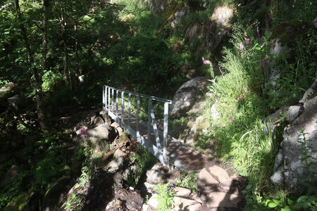 20220623a Le Sentier des Roches, IMG_3554_Le Sentier des Roches