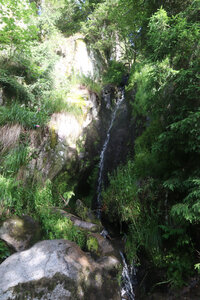 20220623a Le Sentier des Roches, IMG_3555_Le Sentier des Roches