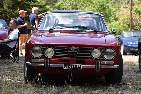 Alfa Club des Volcans 2022 – Chasse à la bête, DSC_2526