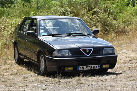 Alfa Club des Volcans 2022 – Chasse à la bête, DSC_2532