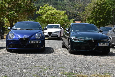Alfa Club des Volcans 2022 – Chasse à la bête, DSC_2538