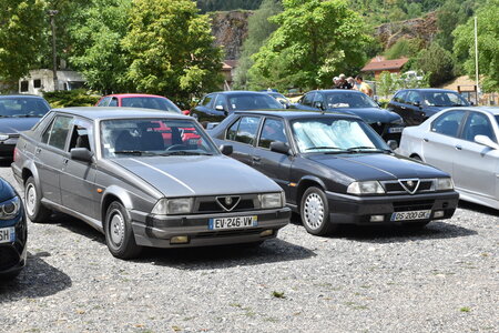 Alfa Club des Volcans 2022 – Chasse à la bête, DSC_2539