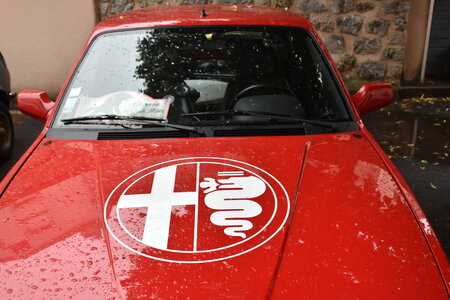 Alfa Club des Volcans 2022 – Chasse à la bête, DSC_2625