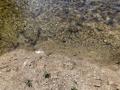 Sable, IMG_8700