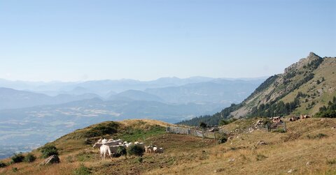 05/07/2022 GLEIZE, DSC_0031