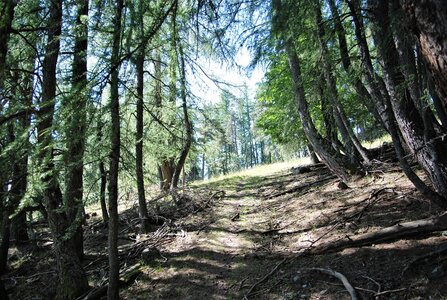 05/07/2022 GLEIZE, DSC_0071