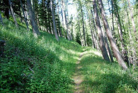 05/07/2022 GLEIZE, DSC_0096