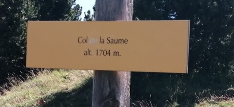 Col de Saume et refuge Napoléon du 07 juillet 2022, IMG_20220707_105715