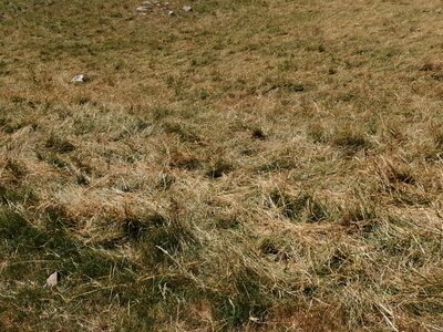 Col de Saume et refuge Napoléon du 07 juillet 2022, IMG_20220707_151625