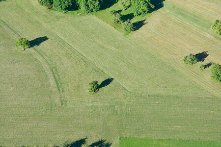 Mongolfiere, DSC_6489