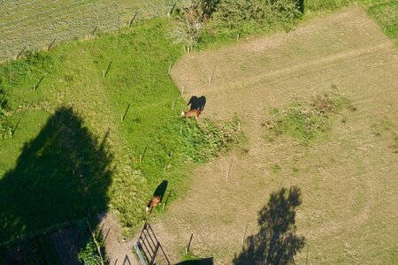 Mongolfiere, DSC_6494