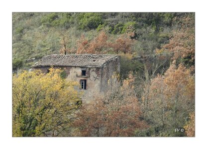 000 CAMARES _ le sud Aveyron, 24112012-DSCN50162_GF