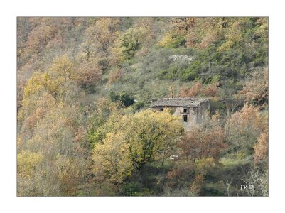 000 CAMARES _ le sud Aveyron, 24112012-DSCN50172_GF