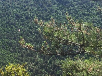 2022-05-27_Meyrueis, 2022-05-27-Rando-Causse-Mejean_9988
