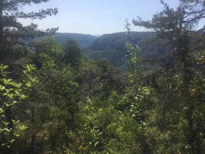 2022-05-27_Meyrueis, 2022-05-27-Rando-Causse-Mejean_9999