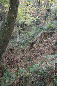 Préparation trial Nassiet 24-11-12, IMG_0228