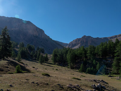 Alpavin 21.07.22, Alpavin-21072022-_1055064