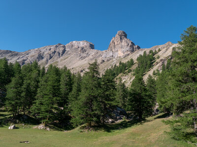 Alpavin 21.07.22, Alpavin-21072022-_1055065