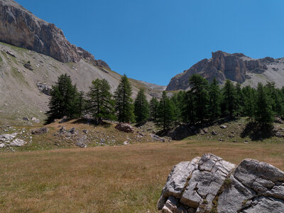 Alpavin 21.07.22, Alpavin-21072022-_1055091