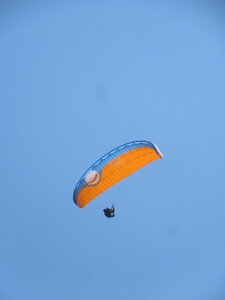 Poupet juillet 2022, IMG_4116