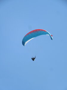 Poupet juillet 2022, IMG_4109