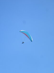 Poupet juillet 2022, IMG_4098