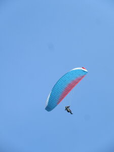 Poupet juillet 2022, IMG_4090