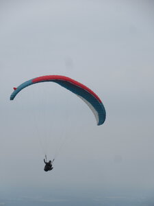 Poupet juillet 2022, IMG_4013