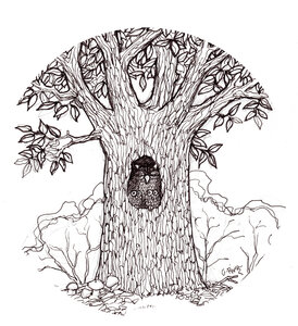 Illustrations Olivier de Rivaz, arbre-chouettes_51738970966_o