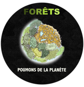 Illustrations Olivier de Rivaz, arbres-poumons_51738149847_o