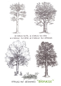 Illustrations Olivier de Rivaz, biomasse-opt_51738149237_o