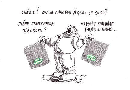 Illustrations Olivier de Rivaz, bois-opt_51739609709_o