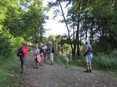 Bois des Communs, IMG_8842