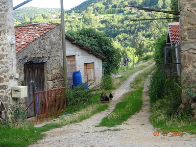 Chantier foins and co, DSC03302